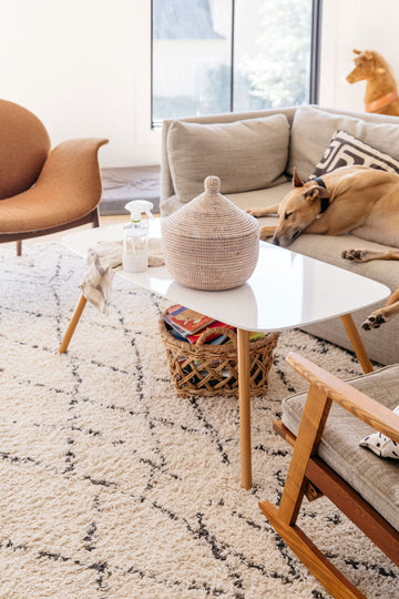 Our 5 Go-To Natural Stain Removers for Carpets